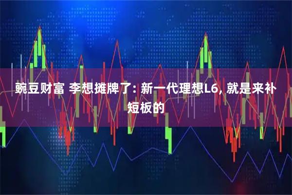 豌豆财富 李想摊牌了: 新一代理想L6, 就是来补短板的